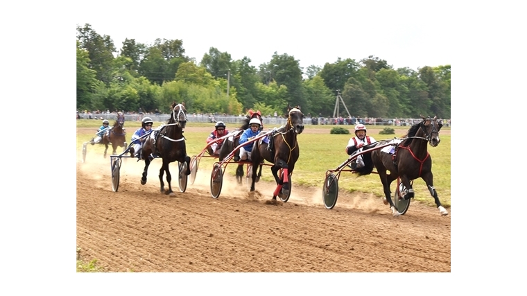 14 сентября состоится праздник конного спорта "Рысистые бега".
