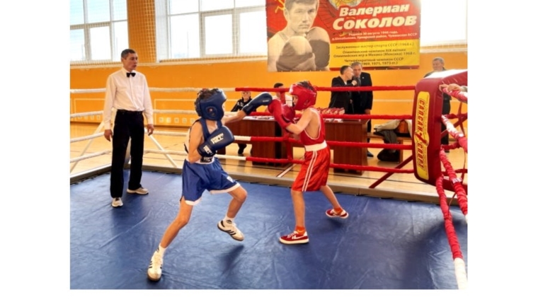 В Чувашии состоялся II республиканский турнир по боксу на призы олимпийского чемпиона Валериана Соколова